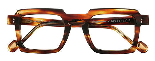 Anne et Valentin DAVID 2 Tortoise